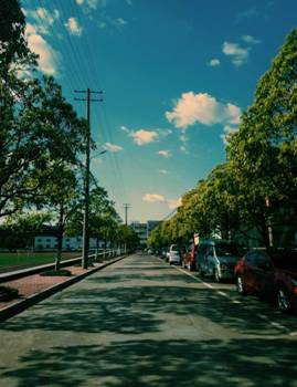 1513847447483059986.jpg 1.jpg