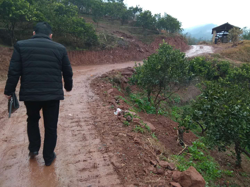 1516784668145086604.jpg 1.jpg