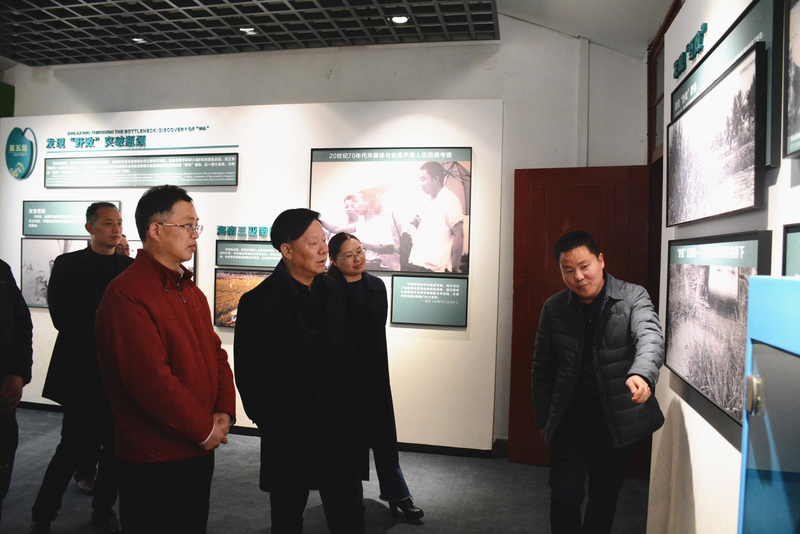 1615777354780038748.jpg 5.jpg