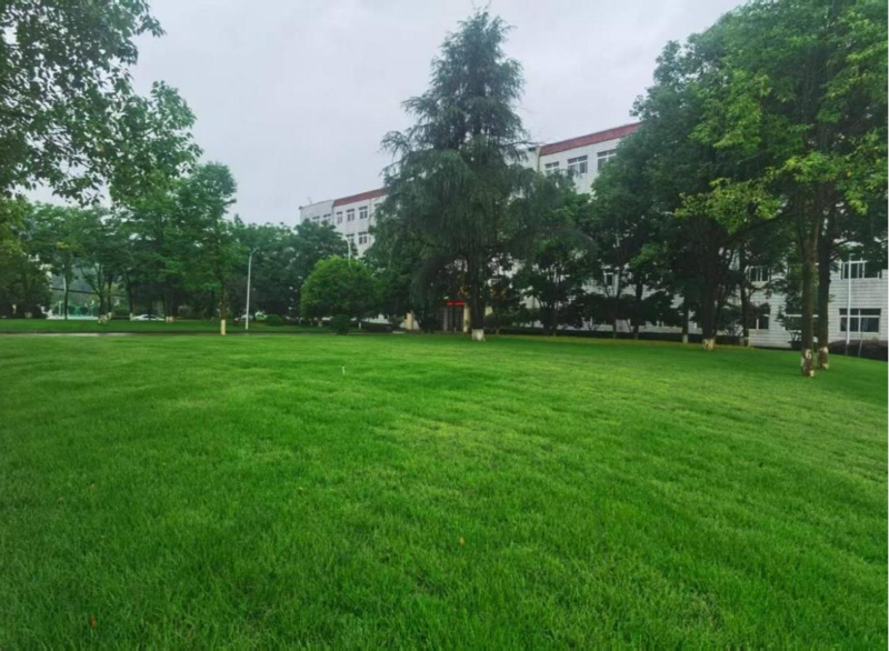 1758772257172013369.png 5.png